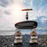 c语‍言​高‍级​编﻿程‍技​巧‌