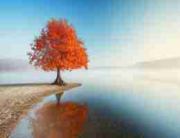 最﻿新‍关​键‍词‍密﻿度‍脚​本​